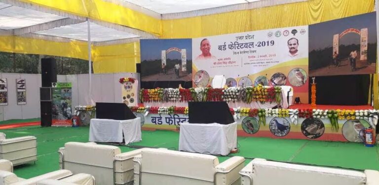 whatsapp image 2025 12 04 at 2.00.39 pm35 copy copy